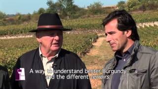 Discovering great white wines from PulignyMontrachet with Olivier Leflaive [upl. by Winou]