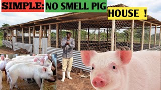 Cost Of Building NoSMELL PIG HOUSE  Simple And Secure [upl. by Terrell]