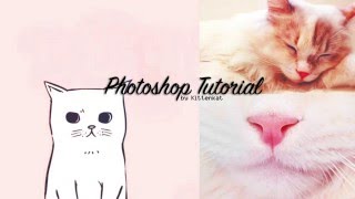 Come scaricare Photoshop Gratis  How to download Photoshop Free  Windows [upl. by Zurciram]