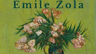 The Fortune of the Rougons by Émile ZOLA read by Peter Tucker Part 12  Full Audio Book [upl. by Ahsinra648]