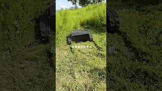 Remote control lawn mower lawn trimmer weeding tool serving rural area supporting agricultu 41 [upl. by Kalk]