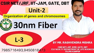 Heterochromatin Euchromatin  Chromosome  L4 Unit2 𝐆𝐞𝐧𝐞𝐬𝐢𝐬 𝐈𝐧𝐬𝐭𝐢𝐭𝐮𝐭𝐞 𝐨𝐟 𝐋𝐢𝐟𝐞 𝐒𝐜𝐢𝐞𝐧𝐜𝐞𝐬 [upl. by Orrocos18]