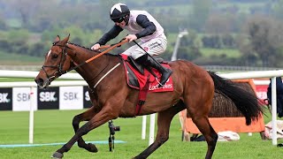 TEAHUPOO completes G1 hattrick with Champion Stayers Hurdle triumph at Punchestown [upl. by Yrogerg]