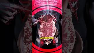 Virus vs Bacteria  What Is The Difference shorts [upl. by Barmen76]