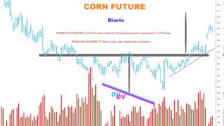 Precio y Volumen también es muy útil en el futuro del maíz [upl. by Dnalro758]