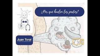 ¿Por qué huelen los pedos [upl. by Halli]