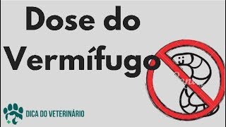 Vermifogo para Cães Entenda a Porque Usar e Qual Dose Prevenção Periódica  Dica do Veterinário [upl. by Brottman]