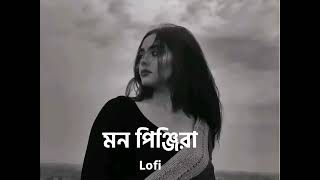 মন পিঞ্জিরা‌  Mon Pinjira  Mon Pinjira Slow Music  Music Lofi Slowed Mon Pinjira Slowed Lofi [upl. by Comptom]