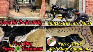 Dogs Ke zSecurity👀Old Model Bullet Start Kar De😎Parvo Virus First Day Treatment At HomeLast Stage [upl. by Chilcote]