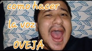 COMO HACER LA VOZ DE UNA OVEJA VIDEO TUTORIAL [upl. by Gabrielle216]