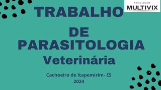 Trabalho de parasitologia veterinária Dirofilaria immitis 4º periódo 2024 [upl. by Atirres]