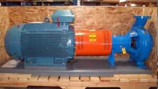 Goulds  3196 iFRAME  Centrifugal Pump [upl. by Elamaj]