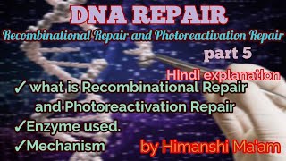 DNA Recombinational repair and Photoreactivation Repair in Hindi by Himanshi Maam [upl. by Aicxela]