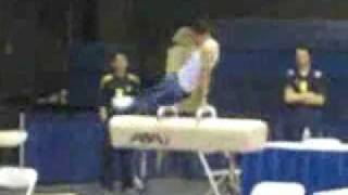 Pommel horse Reverse Stockli with 360 turn Bezugo [upl. by Tihom]