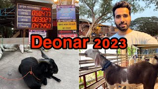 Chalte hai bakra lene Deonar 2023 Goats ShezaanShaikh Bakri EID 2023 [upl. by Idnor]