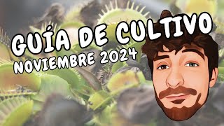 Como cuidar PLANTAS CARNÍVORAS en NOVIEMBRE 2024 [upl. by Maryjane608]