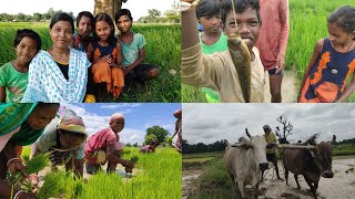 Santal tribal village of mayurbhanj  beautiful nature of tribal Village🌾 Odisha tribal village [upl. by Inacana661]