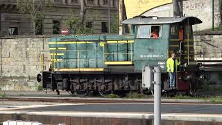 Trenitalia FS 245 6055 rangeert op Trieste Cle [upl. by Felipa]