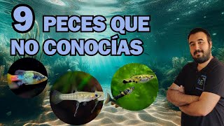 9 PECES que NO SABIAS que EXISTIAN [upl. by Teevens]