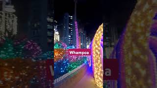 Whampoa Christmas Decor shortvideo pasko2024 [upl. by Gemini800]