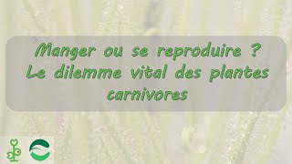 Manger ou se reproduire  le dilemme vital [upl. by Carie761]