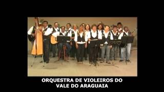 DVD  Orquestra de Violeiros do Vale do Araguaia [upl. by Jerrie]