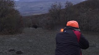 Mükemmel Bir Domuz Avı  A Perfect Boar Hunt [upl. by Atalee722]