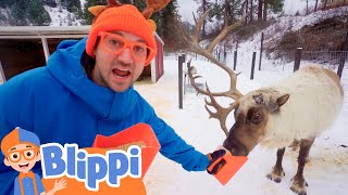 Blippi Visits a Reindeer Farm  Learn Animals for Kids  Fun and Educational Videos for Toddlers [upl. by Lua]