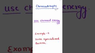 CHEMOAUTOTROPHS  defination and example neet [upl. by Genevra]