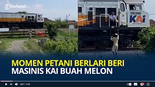 Momen Petani Berlari Beri Masinis KAI Buah Melon Semangat Antarkan sampai ke Depan Kereta Api [upl. by Deanne]