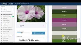 Color palette Generator from image  imageonlineco [upl. by Durer]