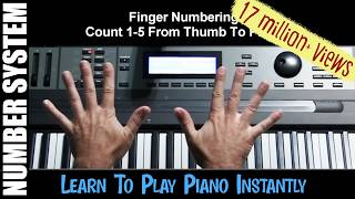 Learn To Play Piano Instantly 1 Beginning Training Pro Shortcuts [upl. by Susejedairam]