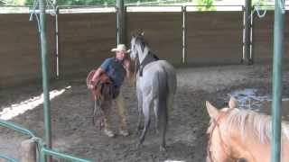 Saddling A Horse For The First Time with Daryl Gibb  Part 2 [upl. by Arika]