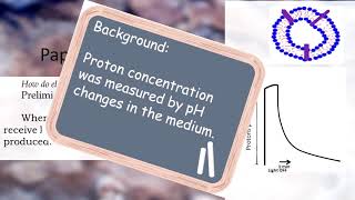 How Do Electron Transport Chains Do What They Do [upl. by Nathanael]