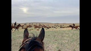 Nebraska Sandhills May 2022 [upl. by Hardwick179]