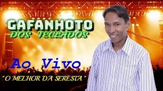 Gafanhoto Dos Teclados  O Melhor da Seresta Ao Vivo [upl. by Hanway]