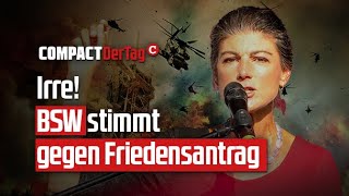 Irre BSW stimmt gegen Friedensantrag💥 [upl. by Cassandre]