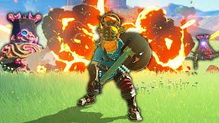 The Latest RANDOMIZER is CRAZY in Breath of The Wild [upl. by Ayoras]