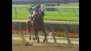 2001 Belmont Stakes  Point Given  Full Broadcast [upl. by Hicks52]