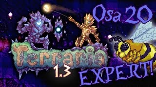 Terraria 13  Expert Osa 20  Queen Been liiskaus [upl. by Mickie196]