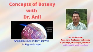 Anomalous secondary growth in Bignonia stem [upl. by Etnaed526]