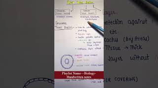 Epidermal Ground Vascular  Plant Tissues System  Biology  General Science  Lec11 [upl. by Noraf]