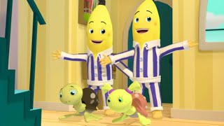 The Bananas Adopt Turtles  Bananas in Pyjamas Season 1  Full Episodes  Bananas in Pyjamas [upl. by Leifer]