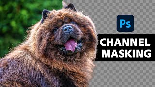 Insanely Difficult Selections MADE EASY with Alpha Channels in Photoshop [upl. by Atiz]