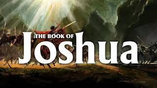 The book of Joshua  From The Bible Experience [upl. by Karon563]