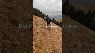 Puro pirineo mtb pirineus bttlife mountainbike bici bicicleta trilhos mtb btt espanha [upl. by Acinoev]