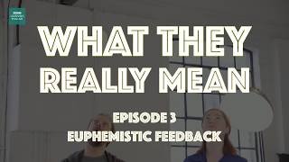 Euphemistic Feedback  What They Really Mean [upl. by Alhan675]