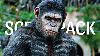 Caesar  Scene Pack  Planet of the Apes  4K [upl. by Aisile]