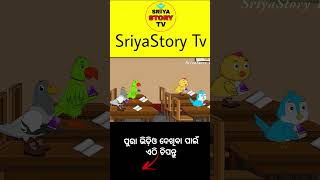 pila school re basiki game khelile birdstories cartoon tikichadheigapa [upl. by Shannon202]