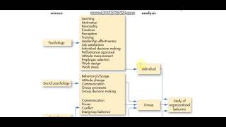 Disciplines that contribute to the OB field [upl. by Silado]